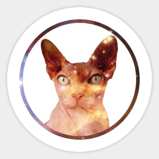 Cosmic Circle Sphynx Cat Sticker